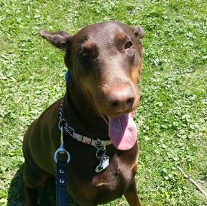 Meet your Posher, Debbie